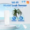 WiFi Water Leak Sensor