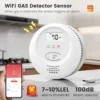 cn-11134207-820l4-mivantu7glj84f.webp WiFi Gas Leak Detector