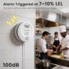 cn-11134207-820l4-mivantu9yhvnf0.webp WiFi Gas Leak Detector